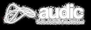 Logo Audia Solutions con diseño de onda sonora estilizada y nombre de la empresa en texto gris